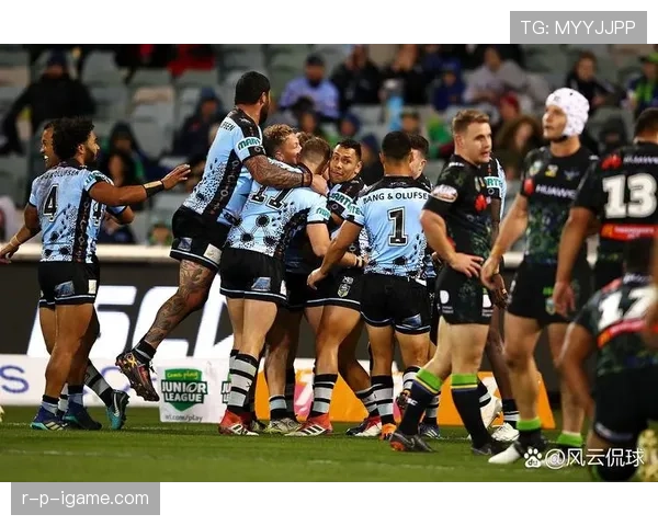 斯托克城保级形势严峻,球队全力冲刺关键战役 斯托克城保级形势严峻,球队全力冲刺关键战役