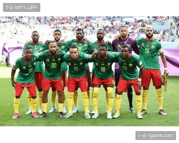 非洲杯小组赛战况更新，各队争夺出线席位表现值得关注